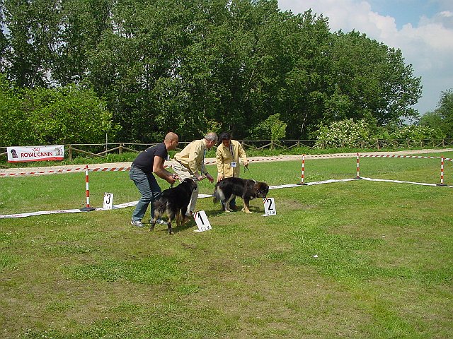 Immagine 079.jpg